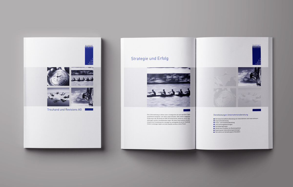 Rupert Herzog Treuhand und Revisions AG